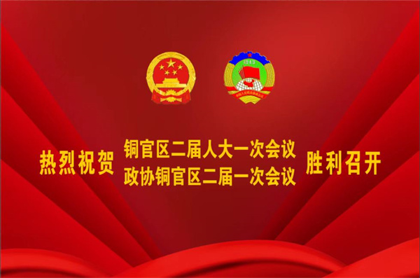 熱烈祝賀公司董事、副總經(jīng)理王從偉被選為 第二屆銅陵市銅官區(qū)政協(xié)常務(wù)委員